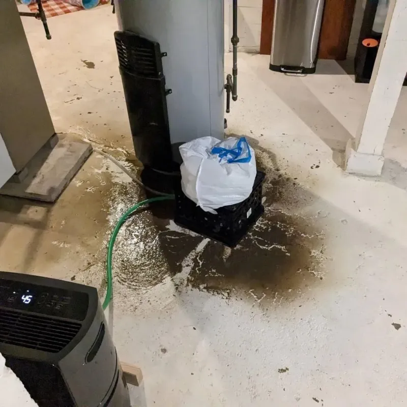Sewage Backup Cleanup Service in Velda Village Hills, MO